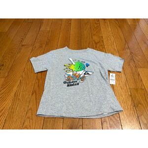 Quiksilver Hawaii Shaved Ice Boy Graphic T-Shirt Gray AQKZT03953 Size 4T NEW